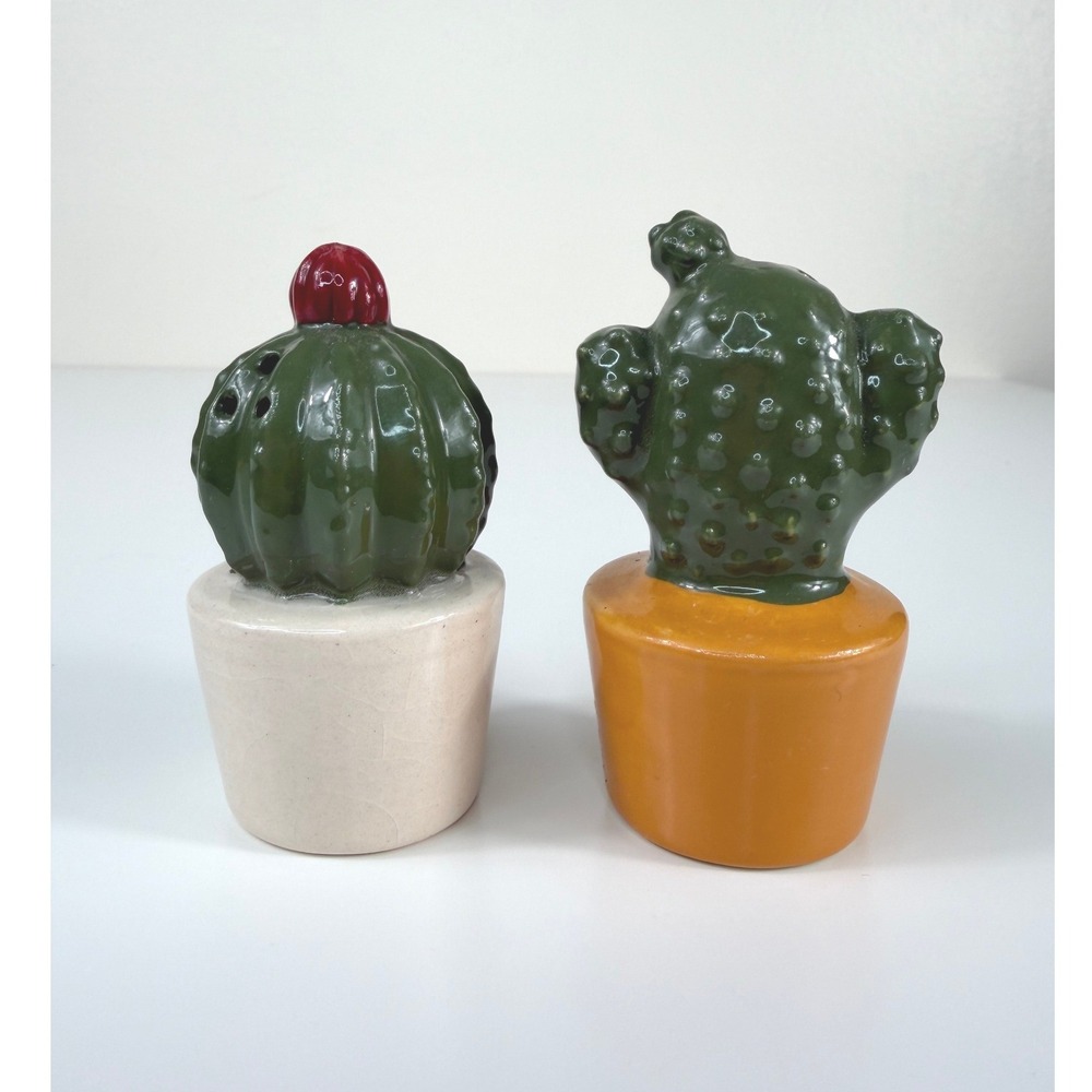Cactus Pots Ceramic Salt And Pepper Shaker Set Collectible Boho